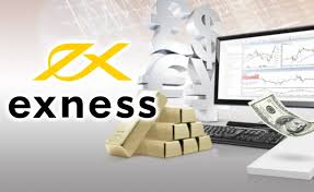 Comprehensive Insights on Exness Thailand Broker