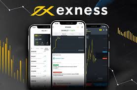 Comprehensive Insights on Exness Thailand Broker