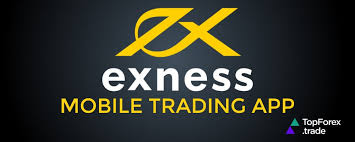 Understanding the Benefits of Exness Forex Broker