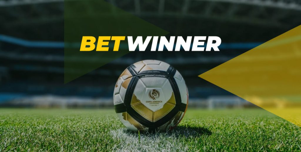 Discover New Heights in Gaming with Betwinner Casino